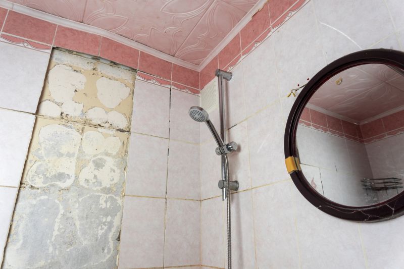 Shower Tile Repair in Boise, ID