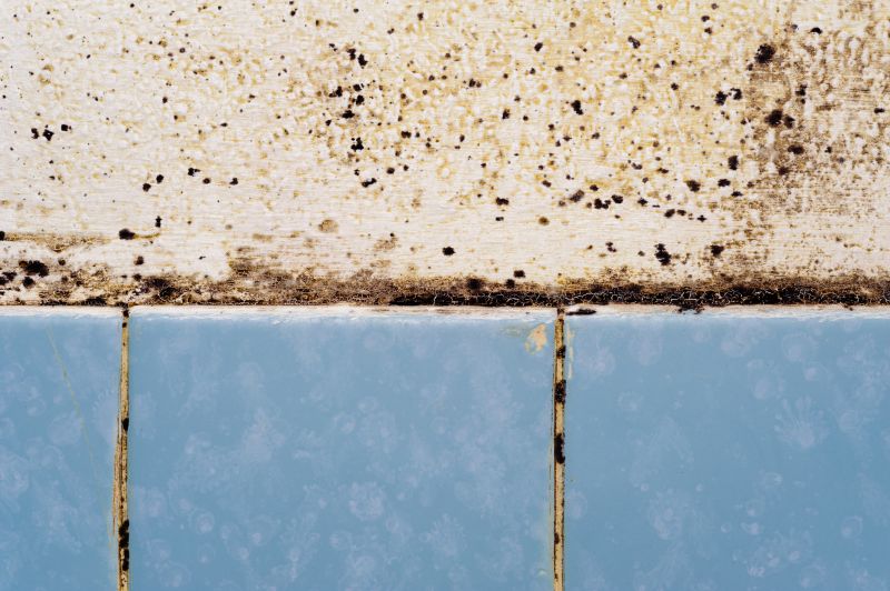 Time for Professional Deep Cleaning